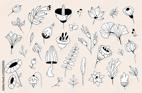Flowers  leaves  branches and berries hand drawn outline sticker pack  floral botanical isolated black and white clip arts  natural doodle lements for invitations  cards  blogs  vector bundle