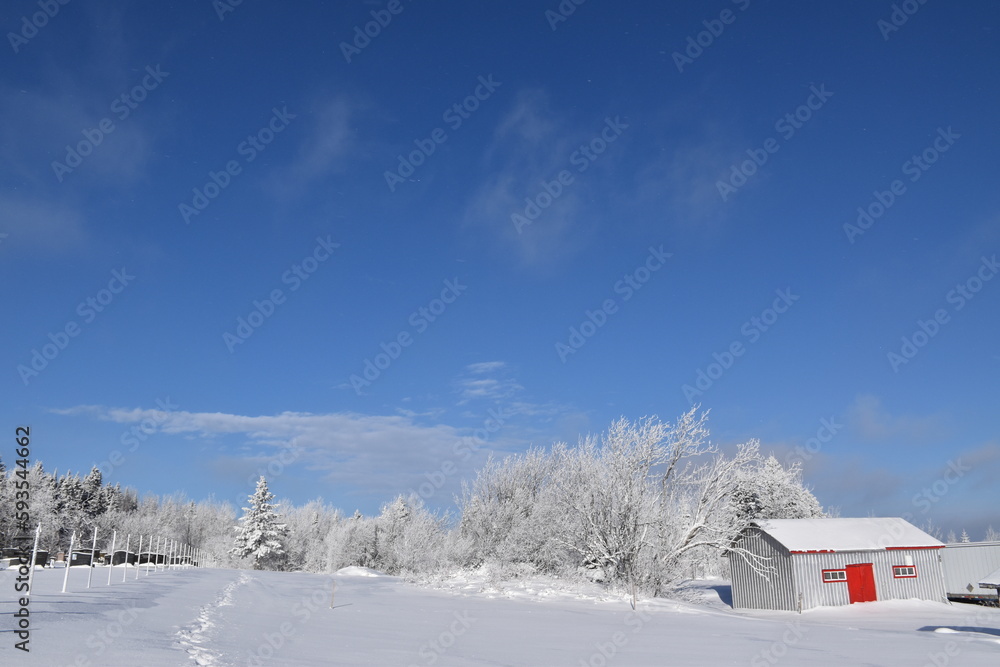 Blue skies in winter, Sainte-Apolline, Québec, Canada Blue skies in winter, Sainte-Apolline, Québec, Canada