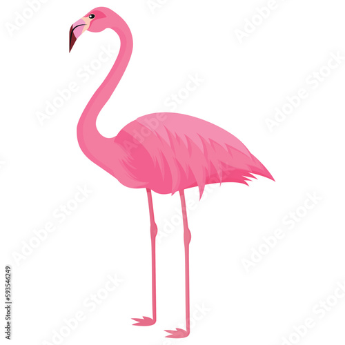 Vector cartoon image of a flamingo. The concept of recreation, travel and the beach. Colorful elements for design.