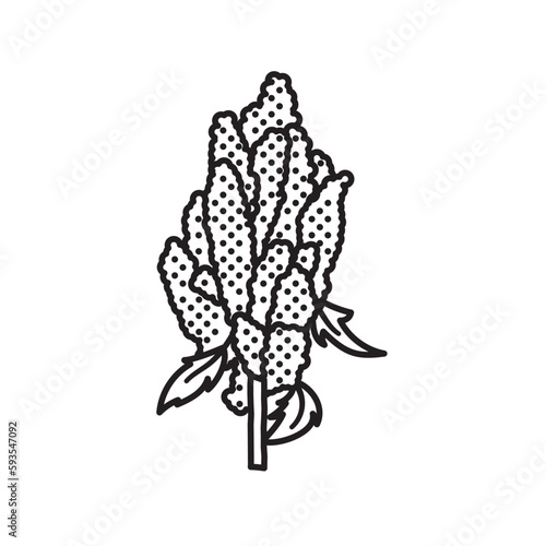Quinoa panicle vector line icon