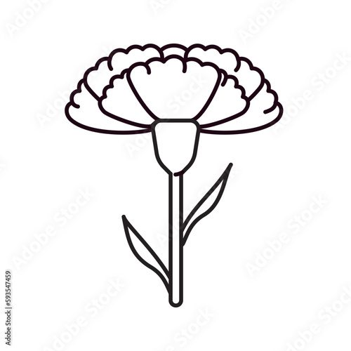 Carnation flower vector line icon