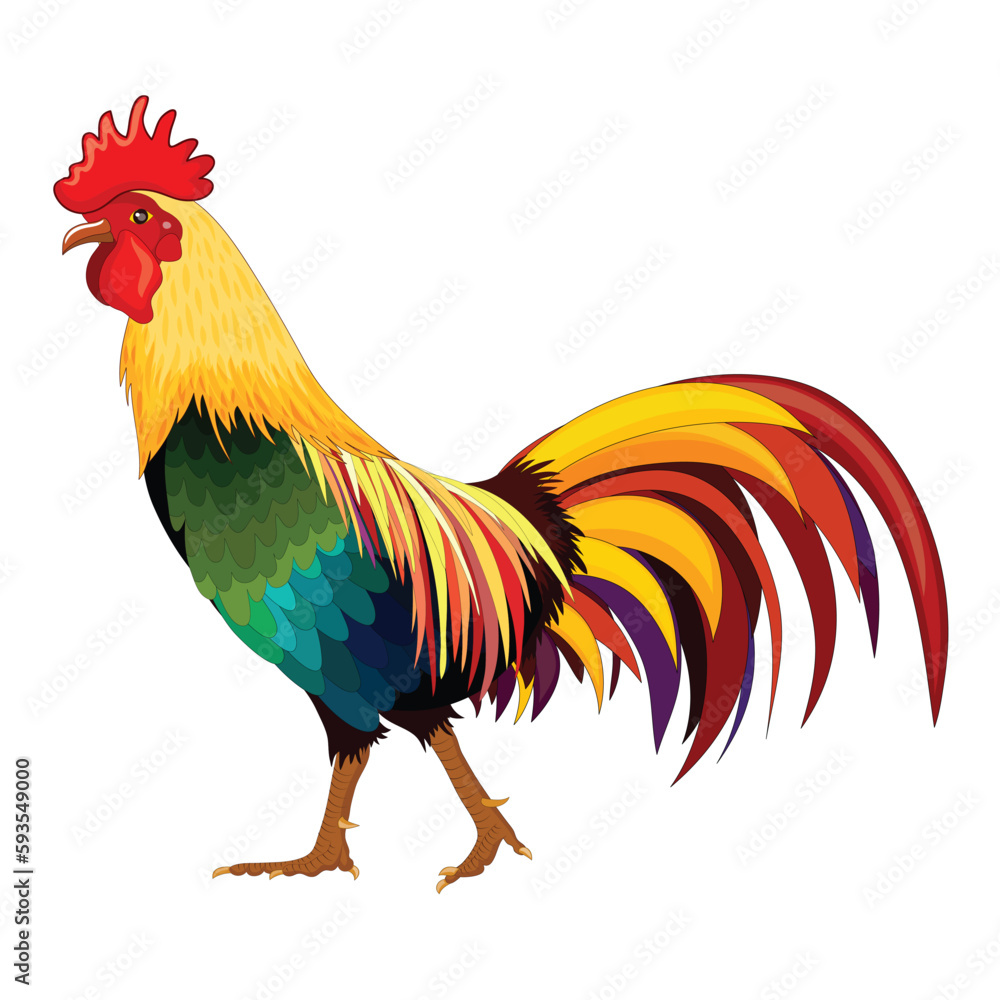 animal background cock icon colorful design