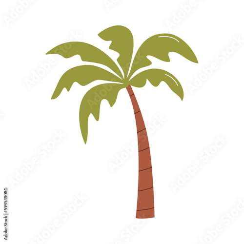 Palm flat vector illustration isolated on white background