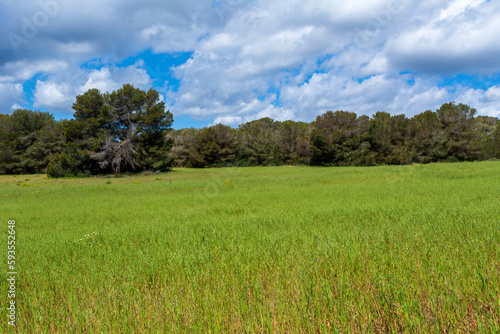 Beautiful landscape next to a hiking trail