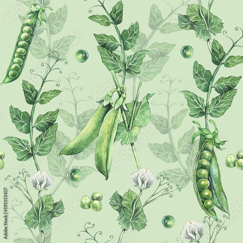 Seamless pattern with watercolor peas. Hand drawn vector illustration of green Pea. Set of fresh organic product. Background for wrapping paper, label and packaging.