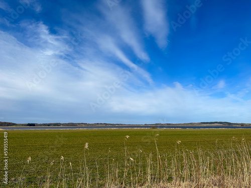 Landscape with fields by the Limfjord in Denmark photo