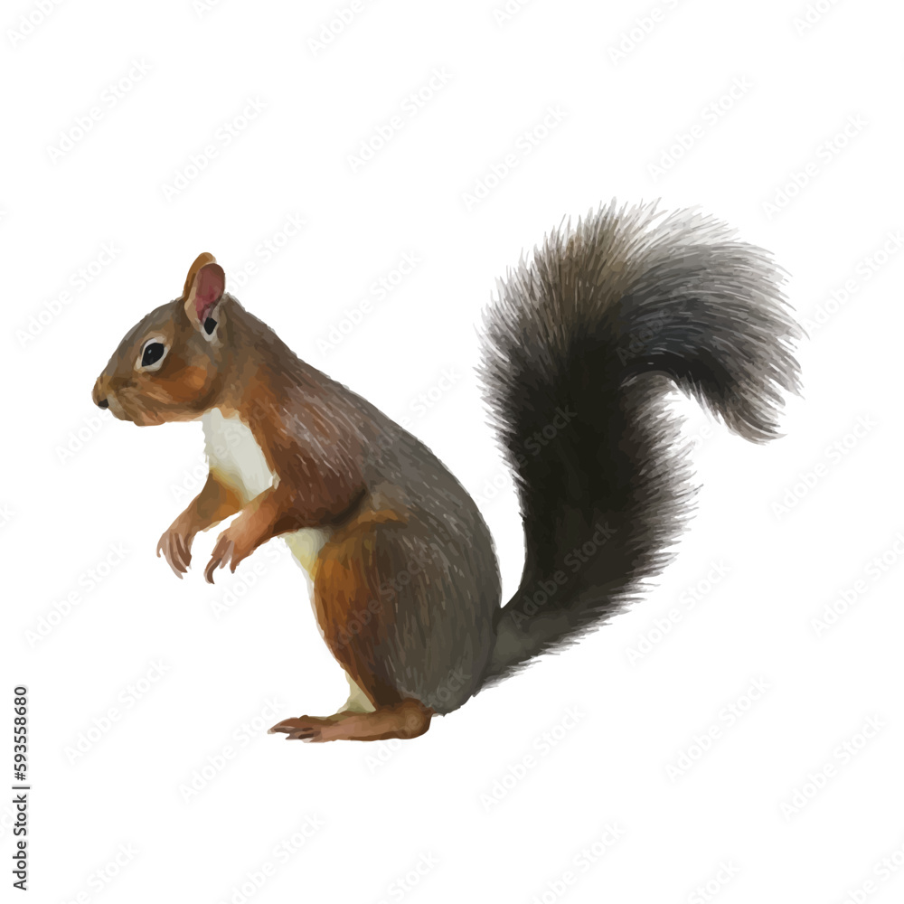 squirrel with style hand drawn digital painting illustration squirrel with style hand drawn digital painting illustration