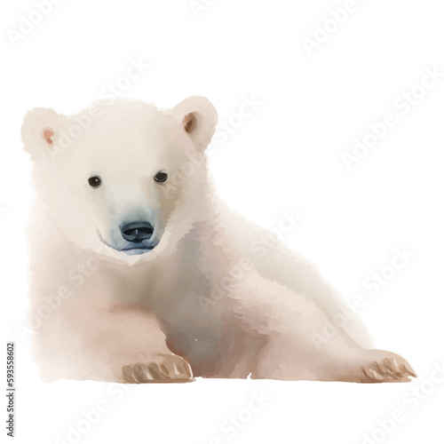 baby polar bear with style hand drawn digital painting illustration