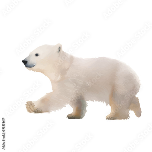 baby polar bear with style hand drawn digital painting illustration