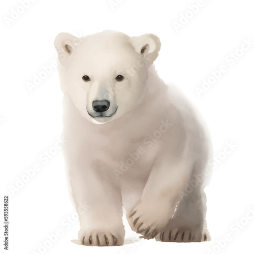 baby polar bear with style hand drawn digital painting illustration