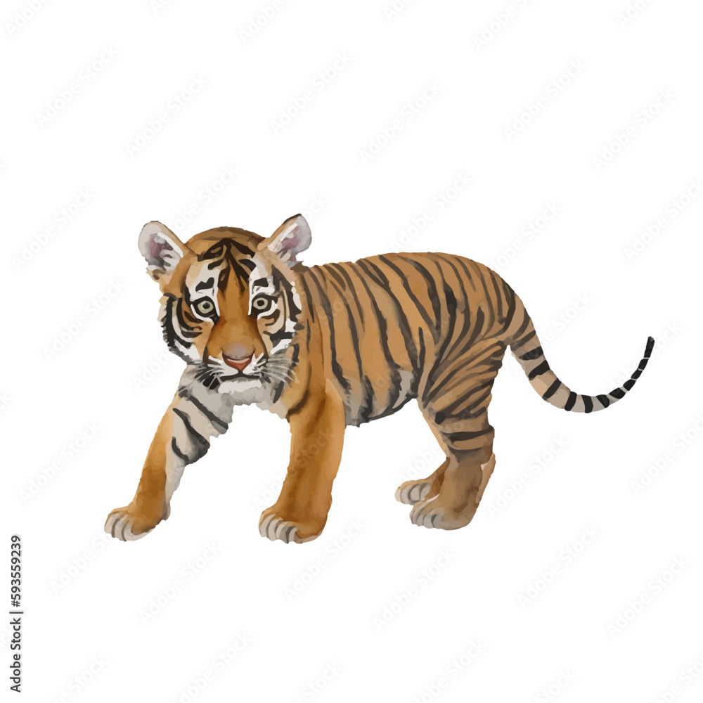 Obraz premium baby tiger with style hand drawn digital painting illustration
