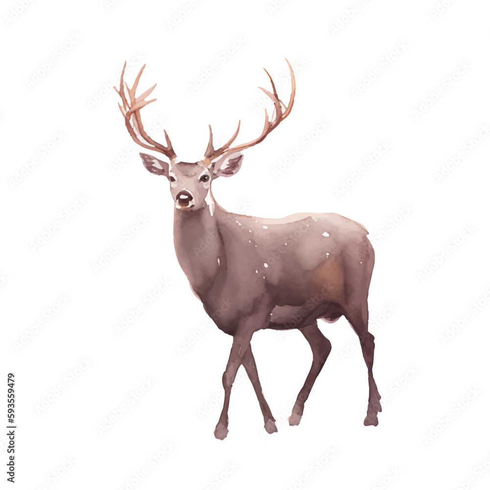 Fototapeta premium deer with style hand drawn digital painting illustration