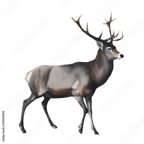 deer with style hand drawn digital painting illustration