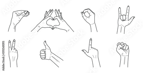 Female hands line. Outline elegant woman hand gestures. Vector.