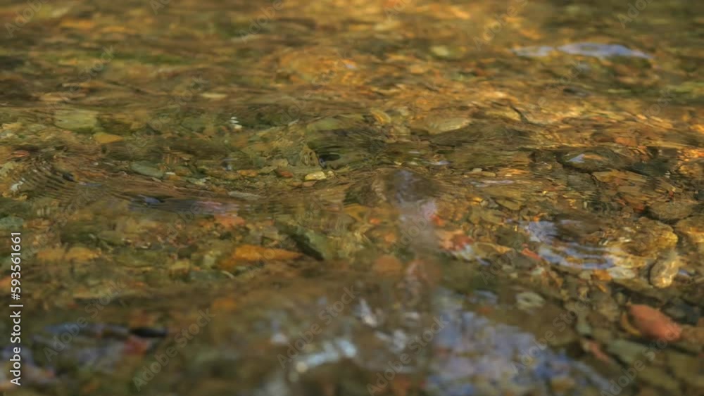 Clean Water Flow of Mountain River Bottom High Quality 4K Slow Motion Close Up, Beautiful Nature Travel Meditation Concept, Thailand. Clean Water Flow of Mountain River Bottom High Quality 4K Slow Motion Close Up, Beautiful Nature Travel Meditation Concept, Thailand.