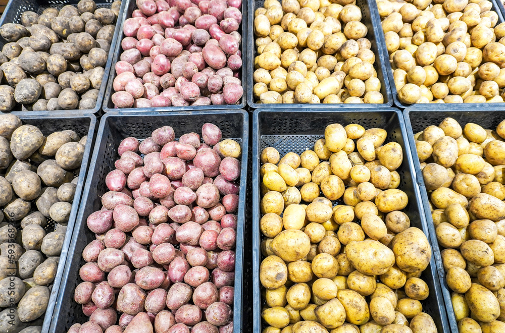 Fresh organic potatoes of various varieties in plastic boxes