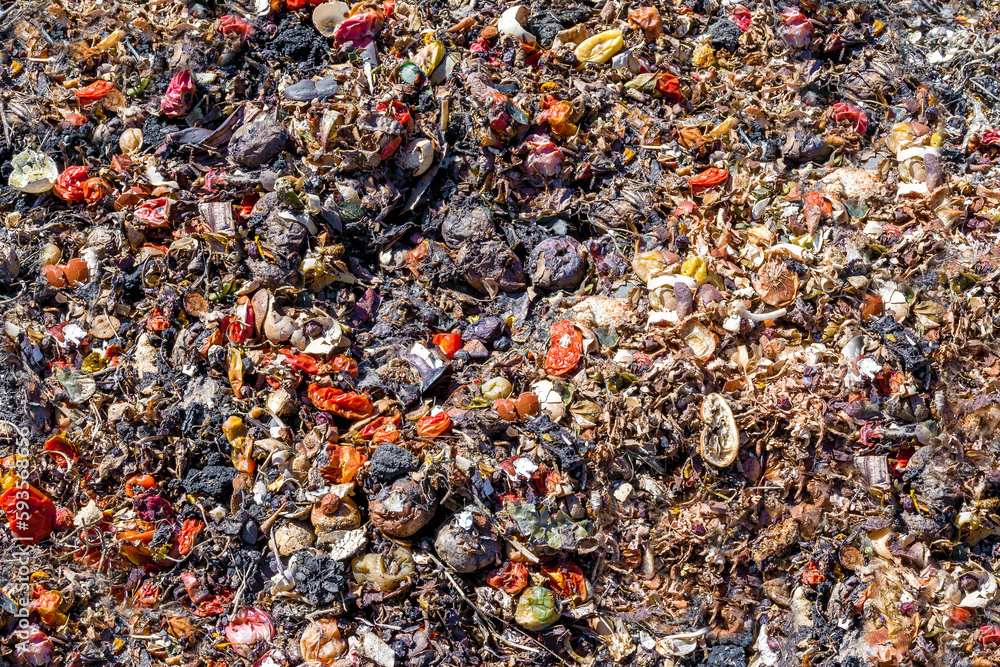Fruit and vegetable waste lies in a compost heap as fertilizer for the garden Fruit and vegetable waste lies in a compost heap as fertilizer for the garden