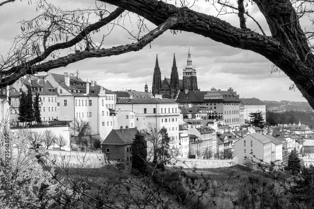 Romantic spring view of Prague Castle and surrounding historical center panorama on a cloudy day. Black and white photo. Most beautiful city in the world. Spring in Czech capital.