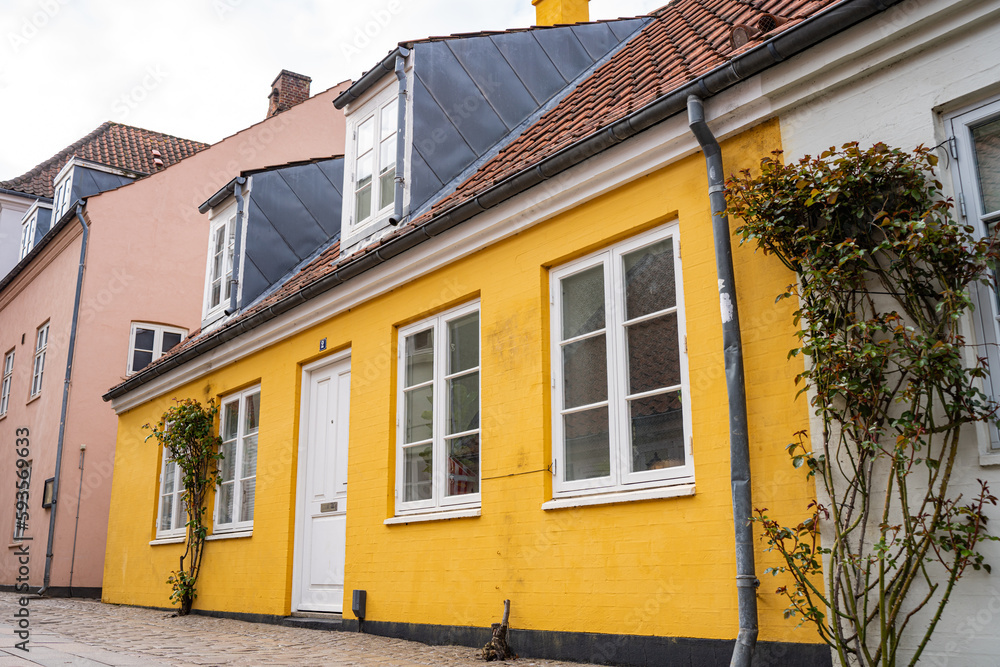 Historical Buildings in the heart of Odense Historical Buildings in the heart of Odense
