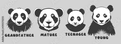 Vector set of black and white cartoon portraits of pandas. Different age of bamboo bear. Funny animals, grandfather, mature, teenager and young. Stickers or icons.