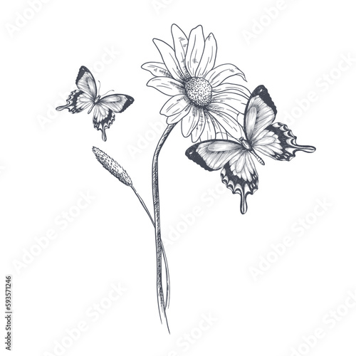 Black silhouettes of grass, flowers and butterflies isolated on white background. Hand drawn sketch flowers and insects.