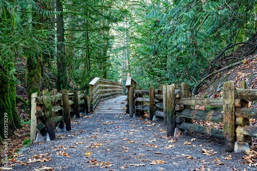 Beautiful shot of a path and a bridge in the Gowlland Tod Provincial Park, Saanich, BC Canada photo