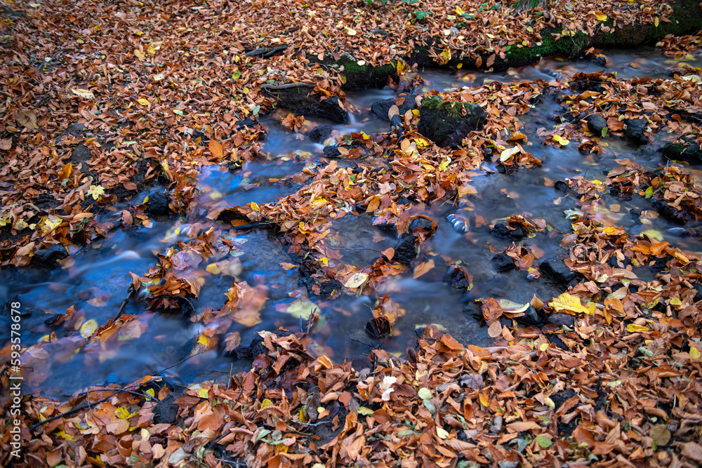 Stream in the forest. Long exposure. Wonderful freshwater streams waterfalls flowing into the river. 7 Lakes Bolu, Türkiye. Stream in the forest. Long exposure. Wonderful freshwater streams waterfalls flowing into the river. 7 Lakes Bolu, Türkiye.