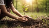 Rooted in Sustainability: Cultivating a Greener Tomorrow