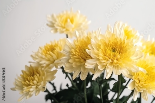 Tall chrysanthemum bouquet isolated on white background. Generative AI