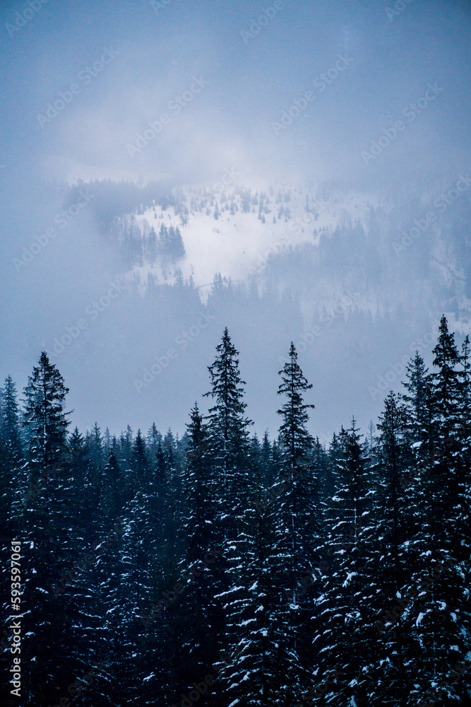 Evening in Carpathians