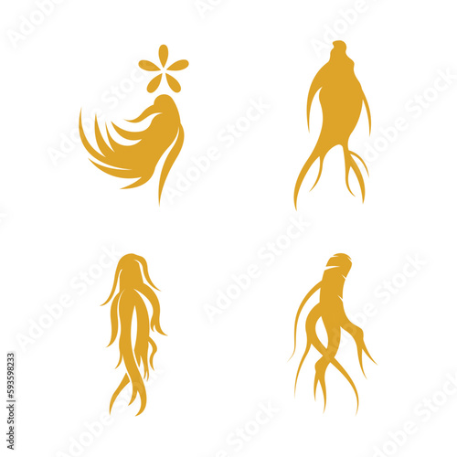 Ginseng logo design template and symbol icon