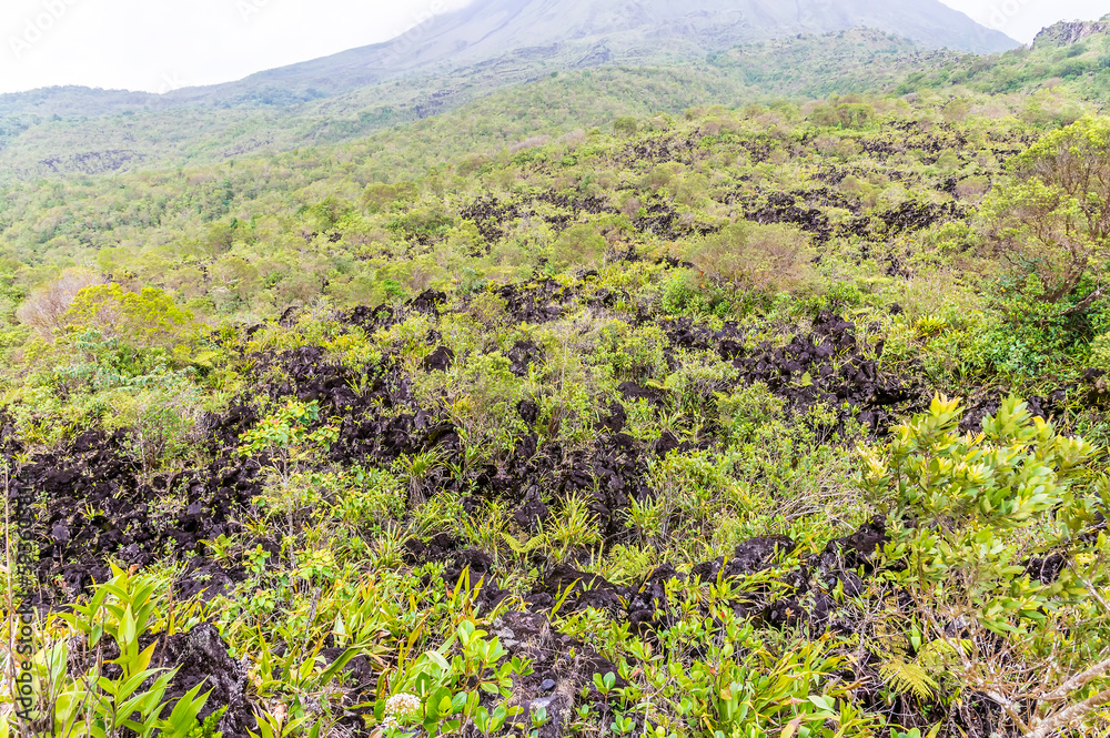 A view of the lava fields on slopes of the Arenal volcano towards the Arenal lake in Costa Rica in the dry season A view of the lava fields on slopes of the Arenal volcano towards the Arenal lake in Costa Rica in the dry season