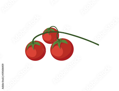 Concept Welcome to Mexico cheery tomatoes. This illustration is a flat vector design featuring a concept related to Mexico. It showcases a ripe red tomato. Vector illustration.