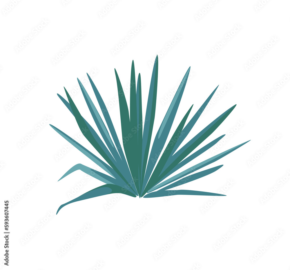Concept Welcome to Mexico plant bush. The illustration features a flat, vector, and cartoon design of a plant bush commonly found in Mexico. Vector illustration. Concept Welcome to Mexico plant bush. The illustration features a flat, vector, and cartoon design of a plant bush commonly found in Mexico. Vector illustration.