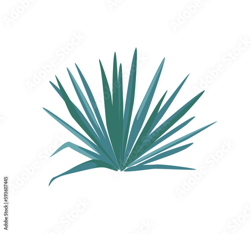Concept Welcome to Mexico plant bush. The illustration features a flat, vector, and cartoon design of a plant bush commonly found in Mexico. Vector illustration.