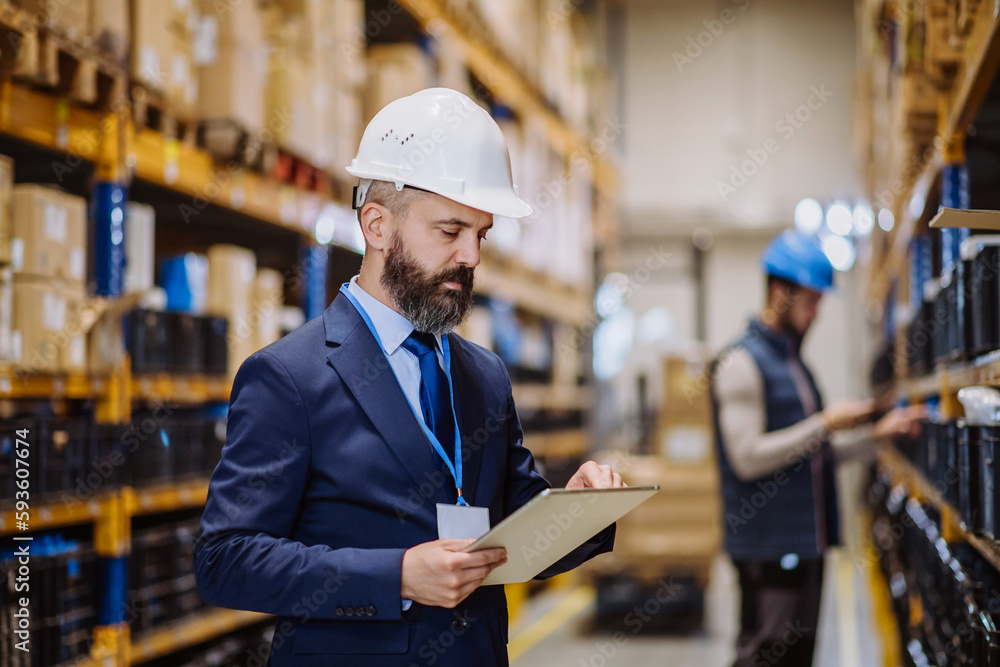 Manager in suit controlling goods in a warehouse. Manager in suit controlling goods in a warehouse.