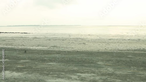 landscape of Bakkhali sea shore where fishing  boats are docked  photo