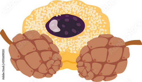 Dessert icon isometric vector. Homemade shortbread fruit cookie and cedar cone. Dessert, food concept