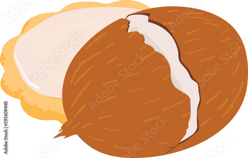 Coconut cookie icon isometric vector. Homemade shortbread cookie and big coconut. Dessert, food concept