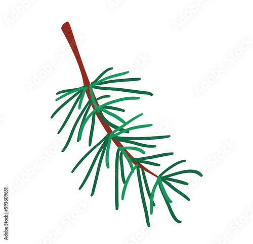 Concept Winter Christmas botany branch leaf plant. This illustration is a flat design vector of a Christmas tree branch on a white background. Vector illustration.