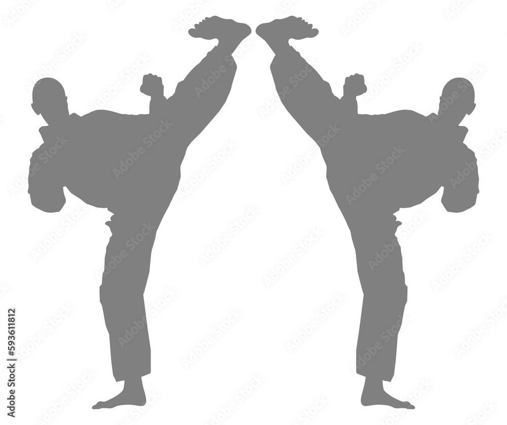 Silhouette of Martial Artist Kick (Taekwondo, Karate, Pencak Silat, Kungfu) for Logo or Graphic Design Element. Format PNG