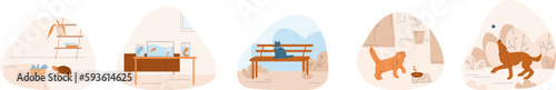 Pets scenes, cute dog walking and playing. Turtle and cat eating, cute kitten sitting on bench in park. Vector adorable animals in location