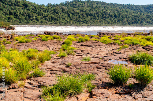 Native vegetation of southern Brazil in Salto do Yucuma