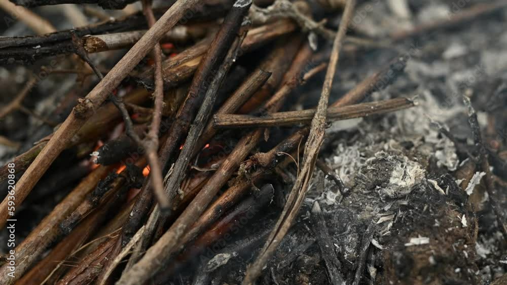 Burning brushwood in a bonfire in the field Burning brushwood in a bonfire in the field