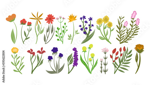 Wallpaper Mural Set of hand-drawn vector flowers and plants Torontodigital.ca