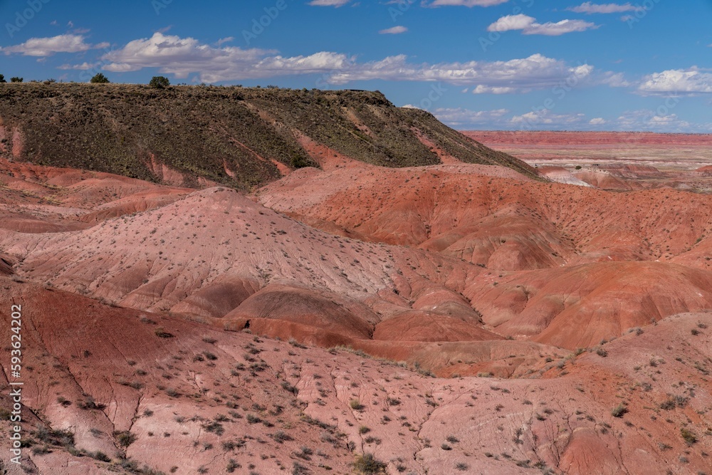 Fototapeta premium Scenic shot of sandy hills under the blue sky in Petrified Forest National Park, Arizona, USA