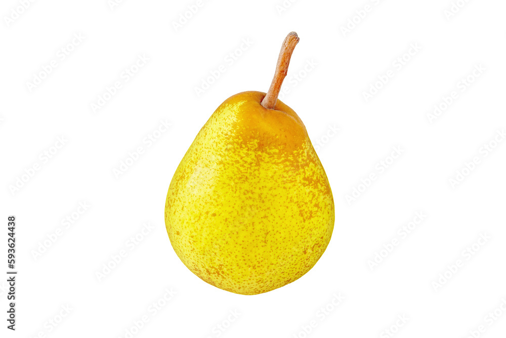 Rocha pear whole fruit isolated transparent png. Yellow green spotted pear. Rocha pear whole fruit isolated transparent png. Yellow green spotted pear.
