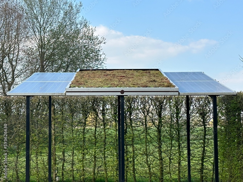 Obraz premium Solar panels with green roof. The combination of solar panels and green roofing is a great example of ecosystem equipment in a residential environment. Appeltern, Netherlands
