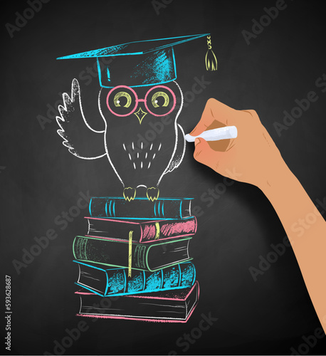 Vector chalk illustration of hand drawing Owl sitting on books education symbol on chalkboard background.