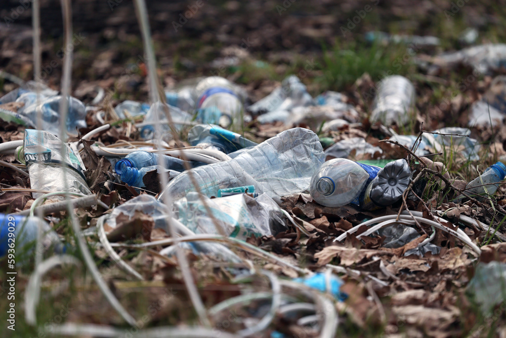 Plastikowe butelki zanieczyszczają środowisko w lesie. Śmieci.  - obrazy, fototapety, plakaty 